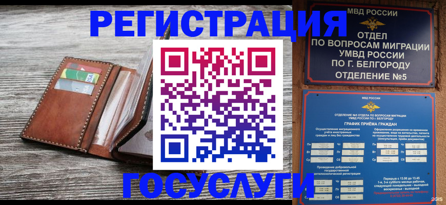 временная регистрация гарантия в Красногорске